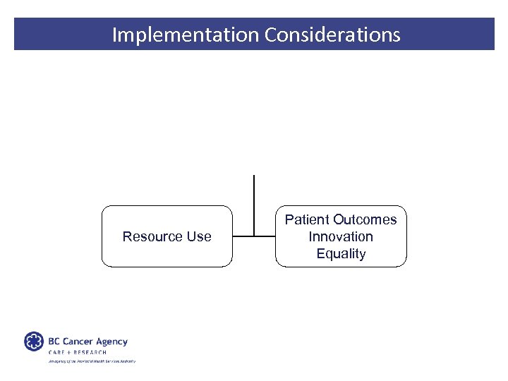 Implementation Considerations Resource Use Patient Outcomes Innovation Equality 