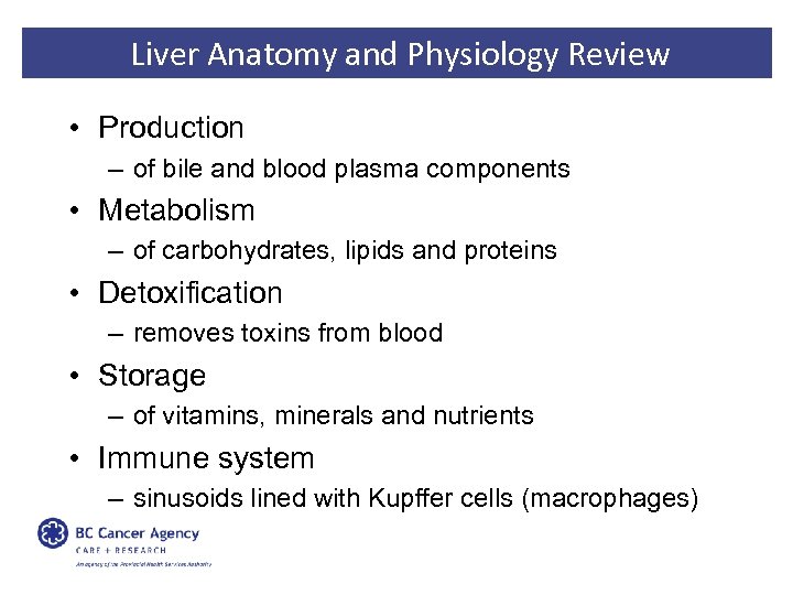 Liver Anatomy and Physiology Review • Production – of bile and blood plasma components