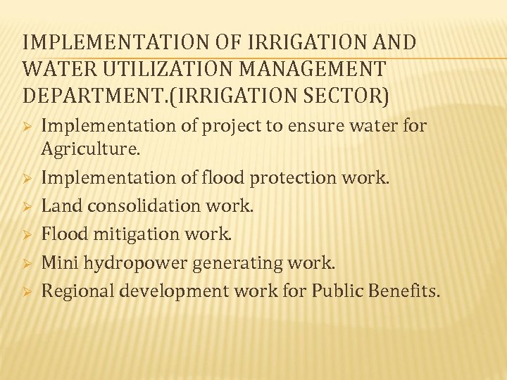 IMPLEMENTATION OF IRRIGATION AND WATER UTILIZATION MANAGEMENT DEPARTMENT. (IRRIGATION SECTOR) Ø Ø Ø Implementation