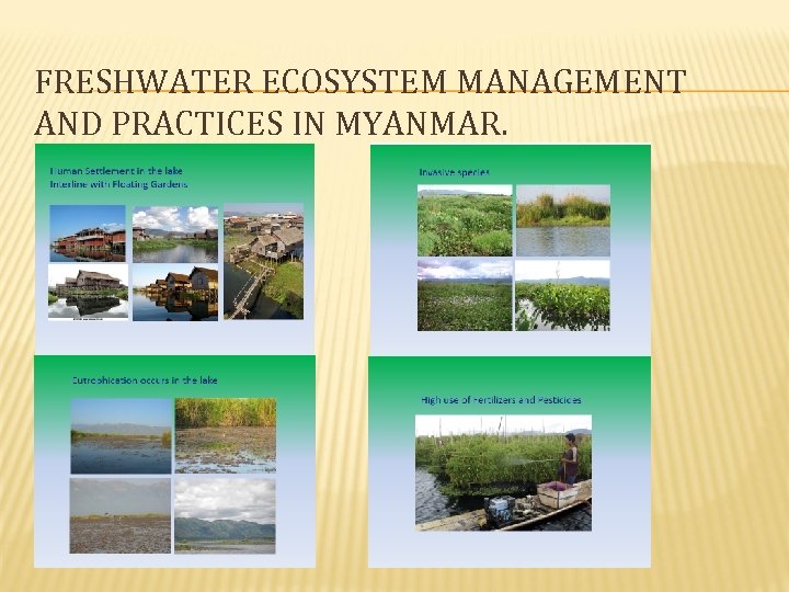 FRESHWATER ECOSYSTEM MANAGEMENT AND PRACTICES IN MYANMAR. 