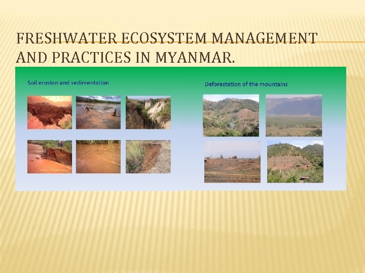 FRESHWATER ECOSYSTEM MANAGEMENT AND PRACTICES IN MYANMAR. 