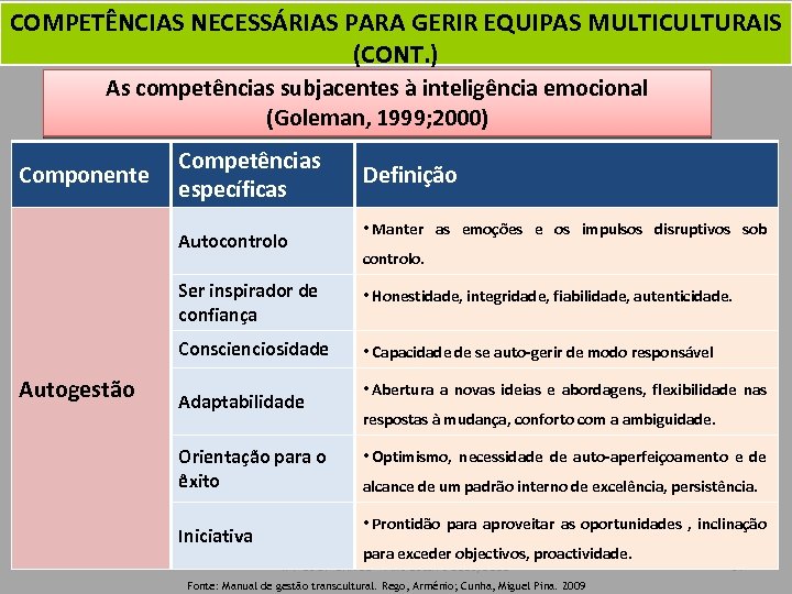 COMPETÊNCIAS NECESSÁRIAS PARA GERIR EQUIPAS MULTICULTURAIS (CONT. ) As competências subjacentes à inteligência emocional