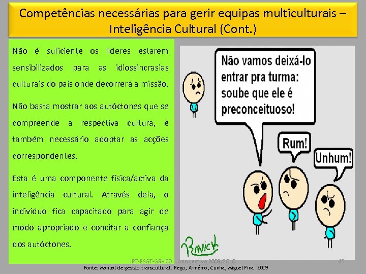 Competências necessárias para gerir equipas multiculturais – Inteligência Cultural (Cont. ) Não é suficiente