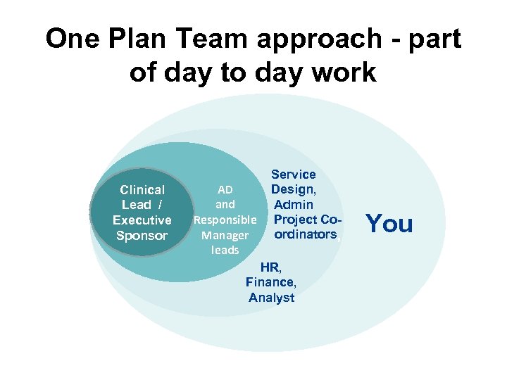 One Plan Team approach - part of day to day work Clinical Lead /