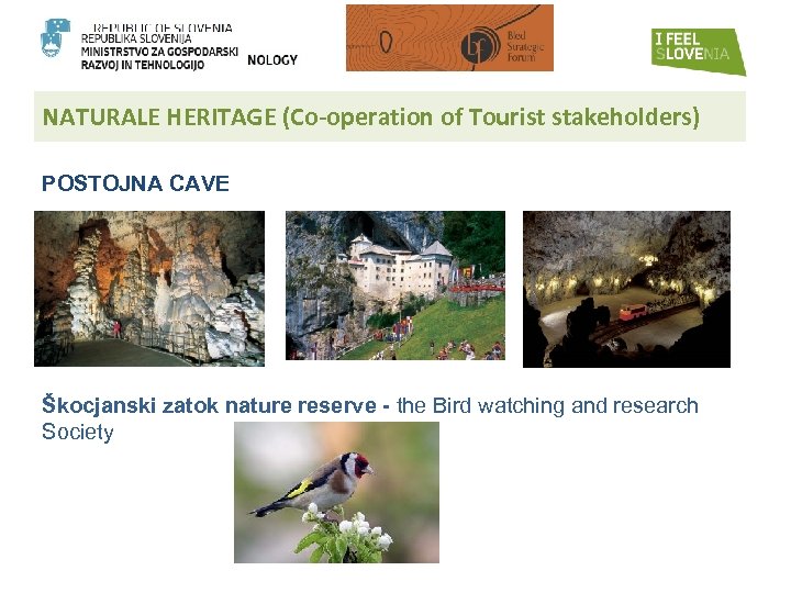 NATURALE HERITAGE (Co-operation of Tourist stakeholders) POSTOJNA CAVE Škocjanski zatok nature reserve - the
