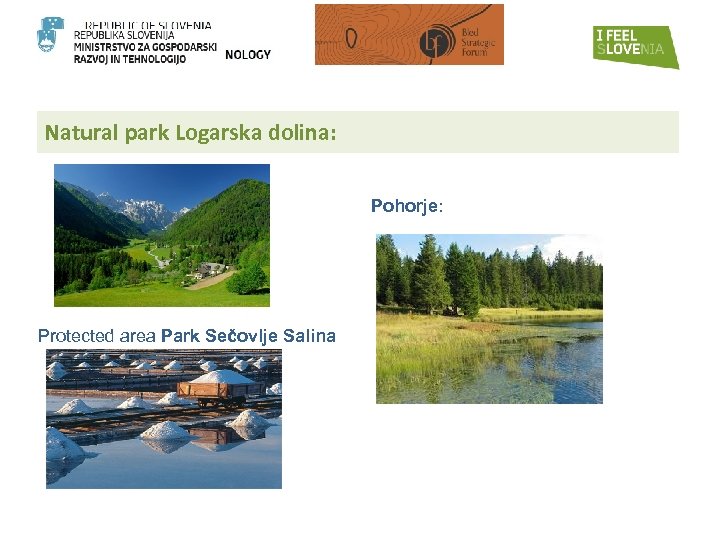 Natural park Logarska dolina: Pohorje: Protected area Park Sečovlje Salina 