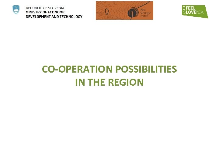 CO-OPERATION POSSIBILITIES IN THE REGION 