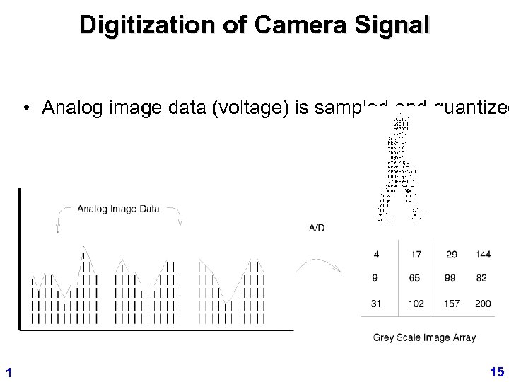 Digitization of Camera Signal • Analog image data (voltage) is sampled and quantized 1