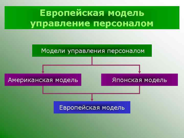 Европейская модель управление персоналом Модели управления персоналом Американская модель Японская модель Европейская модель 