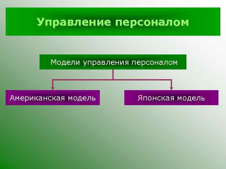 Управление персоналом Модели управления персоналом Американская модель Японская модель 