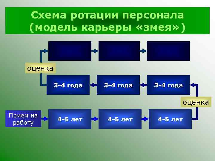 Схема ротации персонала (модель карьеры «змея» ) оценка 3 -4 года оценка Прием на