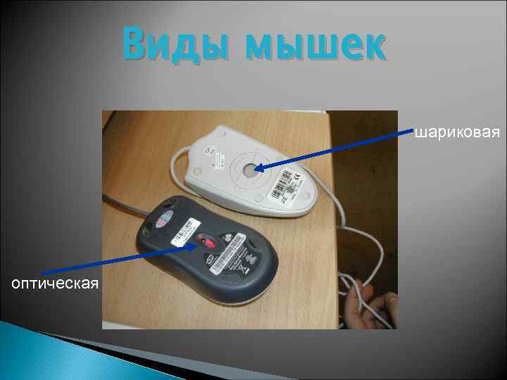 Виды мышек шариковая оптическая 