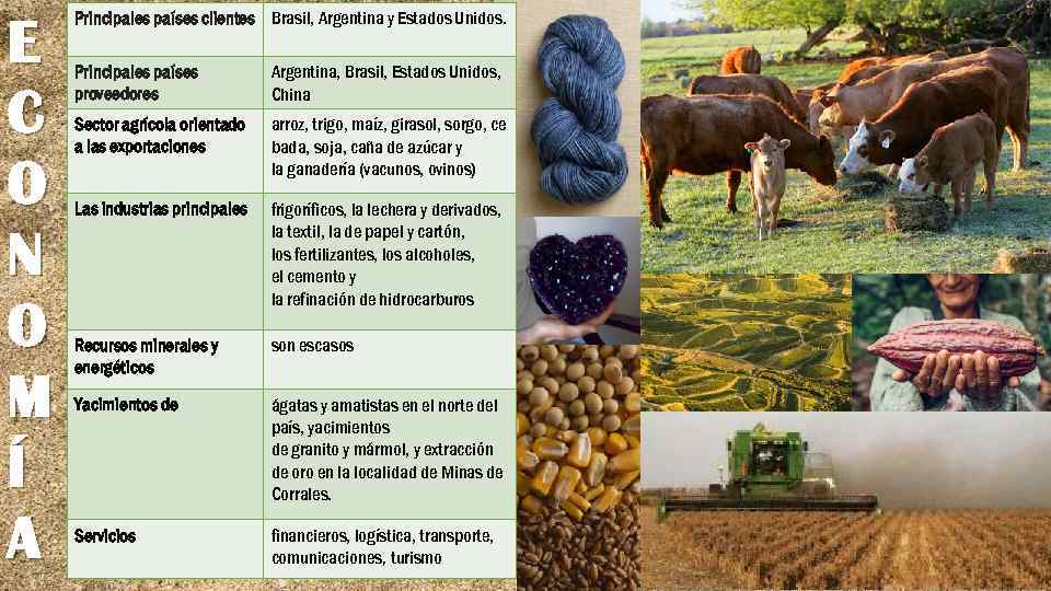 E C O N O M Í A Principales países clientes Brasil, Argentina y