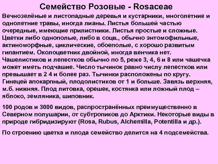 Семейство Розовые - Rosaceae Вечнозелёные и листопадные деревья и кустарники, многолетние и однолетние травы,