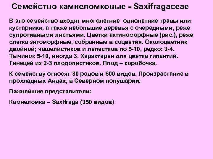 Семейство камнеломковые - Saxifragaceae В это семейство входят многолетние однолетние травы или кустарники, а