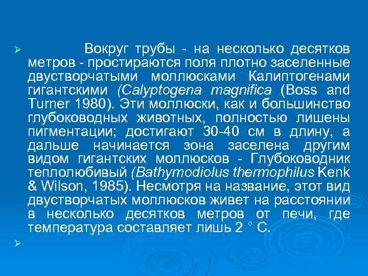 Ø Ø Вокруг трубы - на несколько десятков метров - простираются поля плотно заселенные