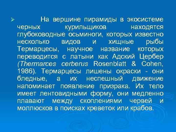 Ø На вершине пирамиды в экосистеме черных курильщиков находятся глубоководные осьминоги, которых известно несколько