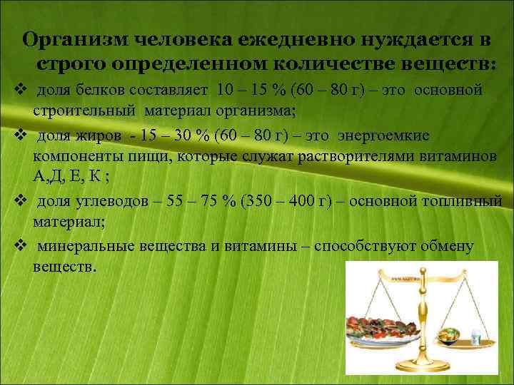 Организм человека ежедневно нуждается в строго определенном количестве веществ: v доля белков составляет 10