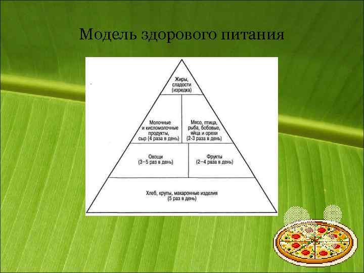 Модель здорового питания 