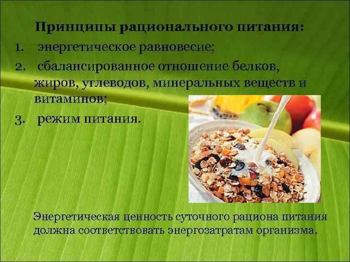 Принципы рационального питания: 1. энергетическое равновесие; 2. сбалансированное отношение белков, жиров, углеводов, минеральных веществ