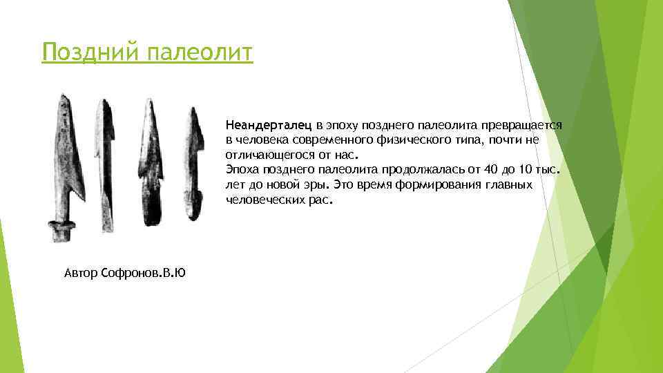 Поздний палеолит Неандерталец в эпоху позднего палеолита превращается в человека современного физического типа, почти