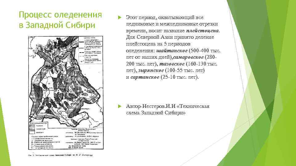 Процесс оледенения в Западной Сибири Этот период, охватывающий все ледниковые и межледниковые отрезки времени,