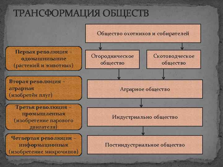 ТРАНСФОРМАЦИЯ ОБЩЕСТВ Общество охотников и собирателей Первая революция – одомашнивание (растений и животных) Вторая