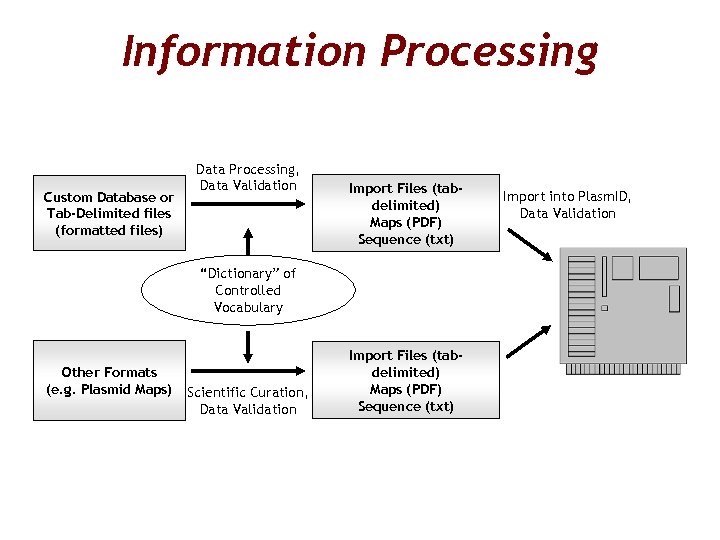 Information Processing Custom Database or Tab-Delimited files (formatted files) Data Processing, Data Validation Import