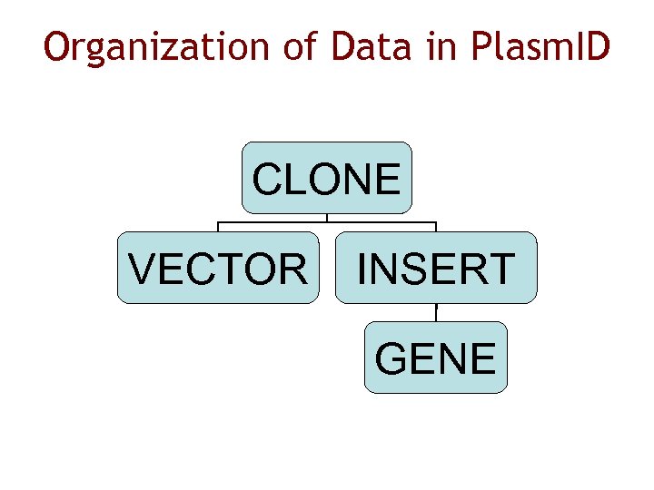 Organization of Data in Plasm. ID CLONE VECTOR INSERT GENE 