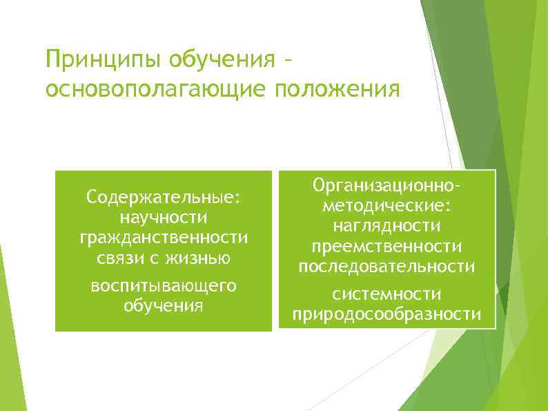 Принципы обучения – основополагающие положения Содержательные: научности гражданственности связи с жизнью воспитывающего обучения Организационнометодические: