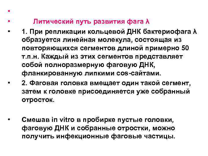  • • • Литический путь развития фага λ 1. При репликации кольцевой ДНК