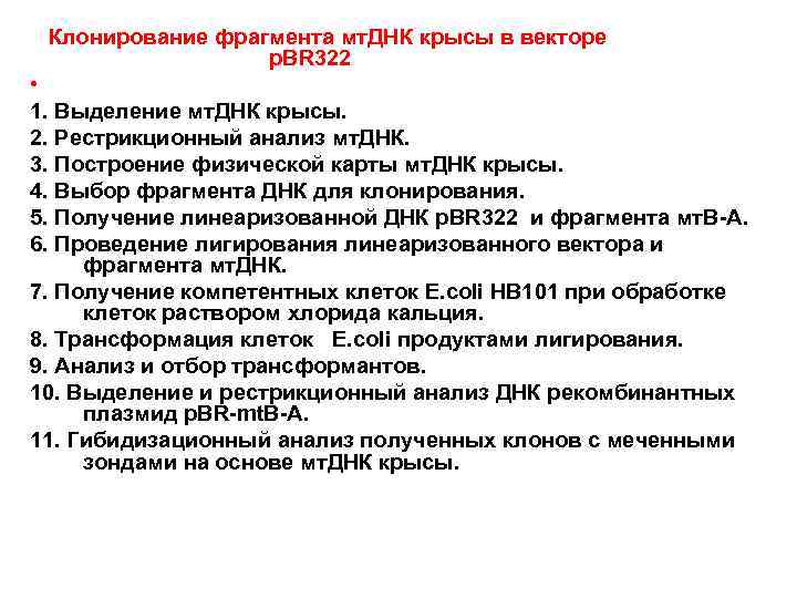 Клонирование фрагмента мт. ДНК крысы в векторе p. BR 322 • 1. Выделение мт.