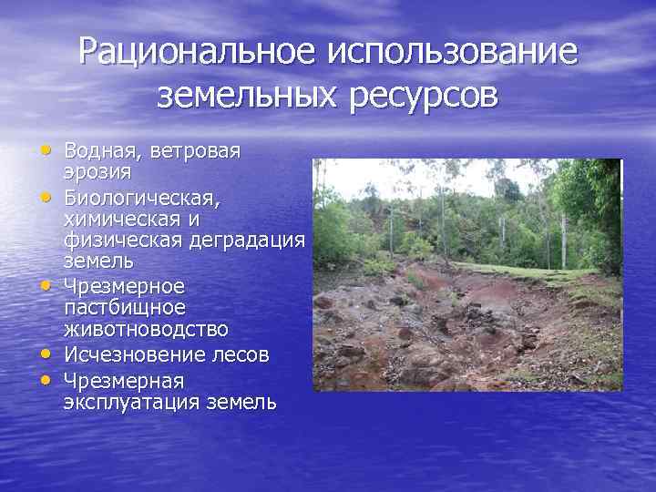Рациональное использование земельных ресурсов • Водная, ветровая • • эрозия Биологическая, химическая и физическая