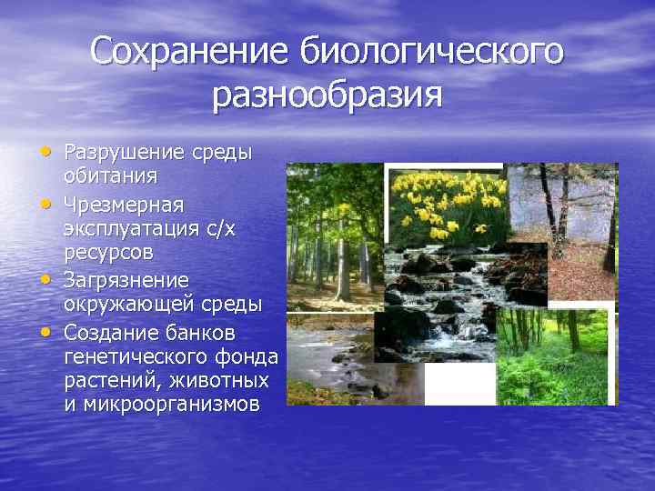 Сохранение биологического разнообразия • Разрушение среды • • • обитания Чрезмерная эксплуатация с/х ресурсов