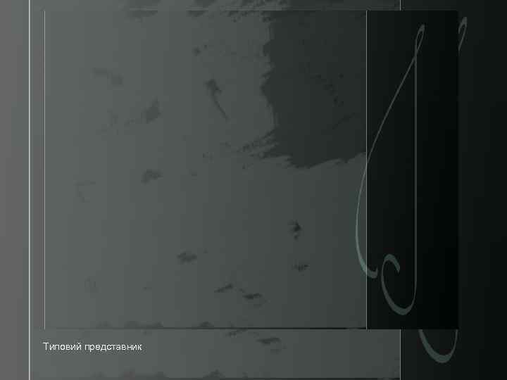 Типовий представник 