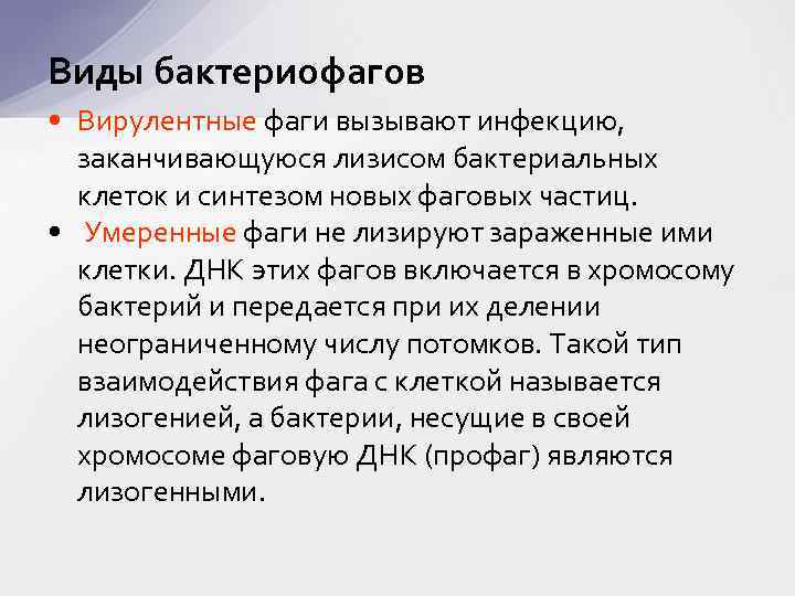 Виды бактериофагов • Вирулентные фаги вызывают инфекцию, заканчивающуюся лизисом бактериальных клеток и синтезом новых