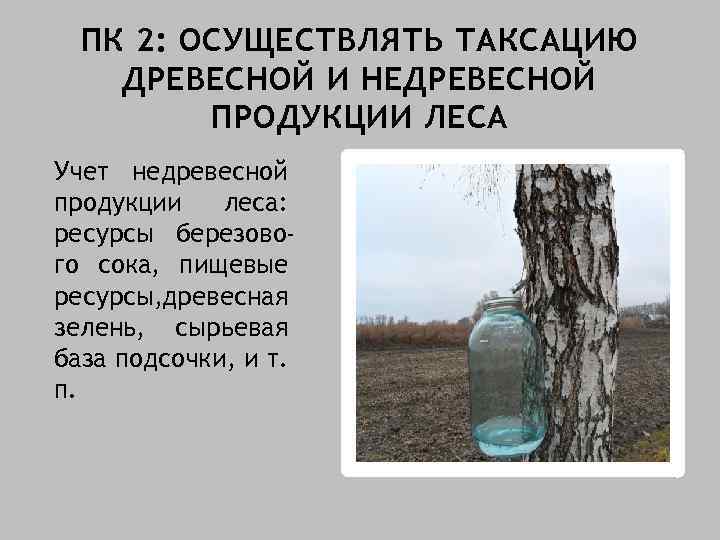 ПК 2: ОСУЩЕСТВЛЯТЬ ТАКСАЦИЮ ДРЕВЕСНОЙ И НЕДРЕВЕСНОЙ ПРОДУКЦИИ ЛЕСА Учет недревесной продукции леса: ресурсы