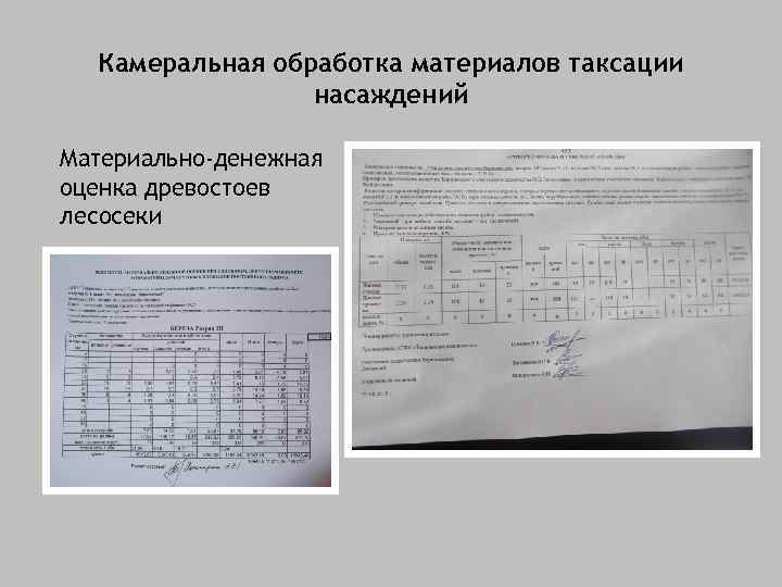 Акт осмотра лесосеки образец