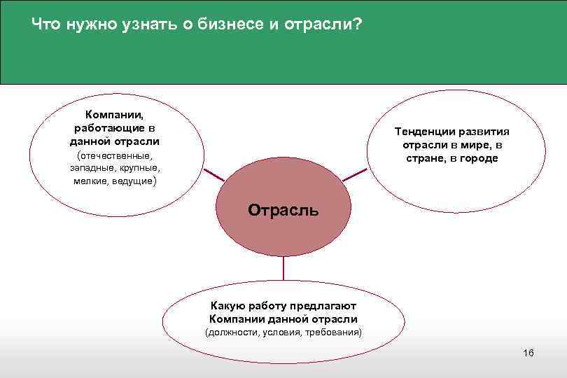 Что нужно узнать о бизнесе и отрасли? Компании, работающие в данной отрасли (отечественные, Тенденции