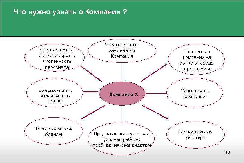 Сколько лет на рынке. Положение на рынке компании. Положение фирмы на рынке. Положение предприятия на рынке. Положение компании на рынке пример.