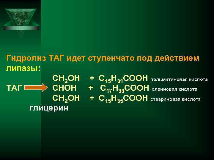 Трансизомеры ненасыщенных жирных кислот