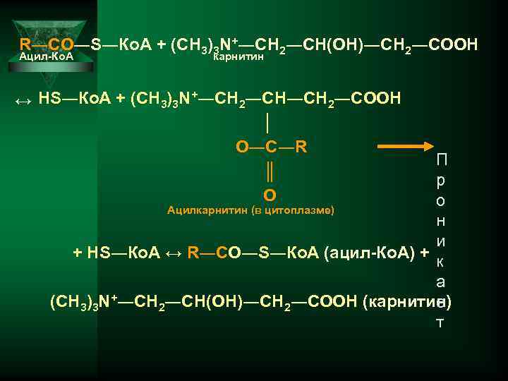R―CО―S―Ко. А + (СН 3)3 N+―CН 2―СН(ОН)―СН 2―СООН Ацил-Ко. А карнитин ↔ НS―Ко. А