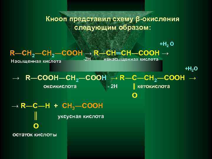 Трансизомеры ненасыщенных жирных кислот