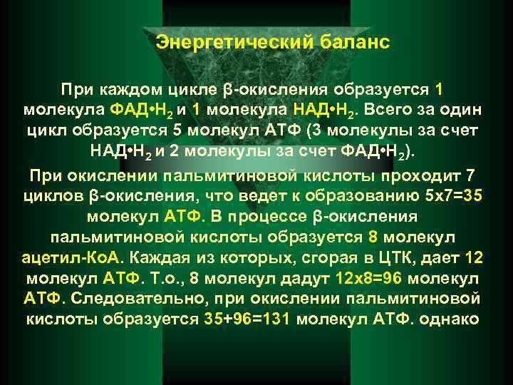 Энергетический баланс При каждом цикле β-окисления образуется 1 молекула ФАД • Н 2 и