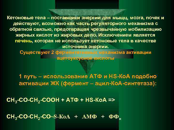 Кетоновые тела – поставщики энергии для мыщц, мозга, почек и действуют, возможно как часть