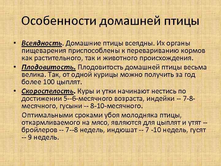 Особенности домашней птицы • Всеядность. Домашние птицы всеядны. Их органы пищеварения приспособлены к перевариванию