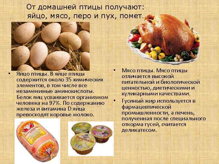 От домашней птицы получают: яйцо, мясо, перо и пух, помет. • Мясо птицы •