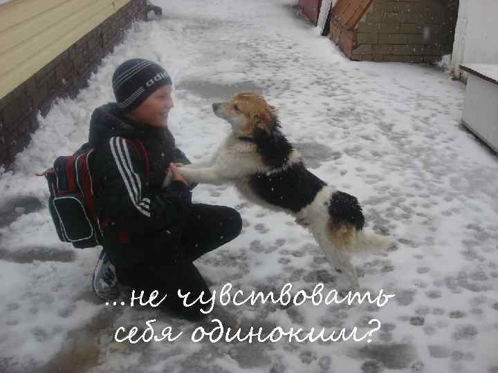 …не чувствовать себя одиноким? 