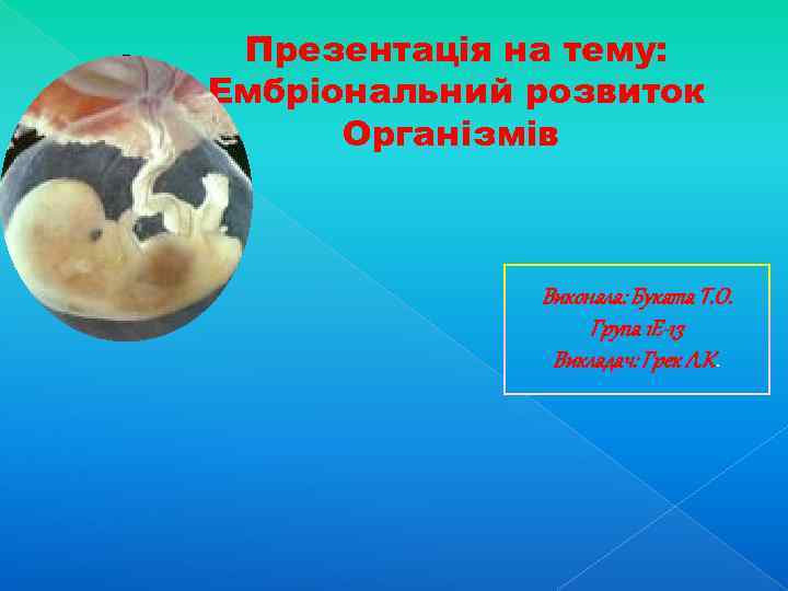 Презентація на тему: Ембріональний розвиток Організмів Виконала: Буката Т. О. Група 1 Е-13 Викладач: