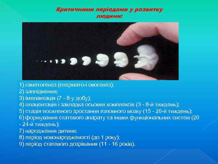 Критичними періодами у розвитку людини: 1) гаметогенез (спермато-і овогенез); 2) запліднення; 3) імплантація (7